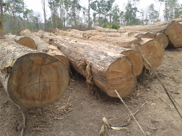 What is the EU TR and how can you help it work?&nbsp;(video)