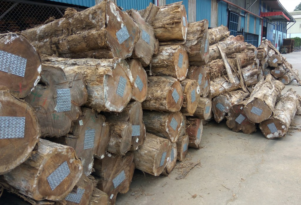 Save Teak, buy FSC&nbsp;Teak